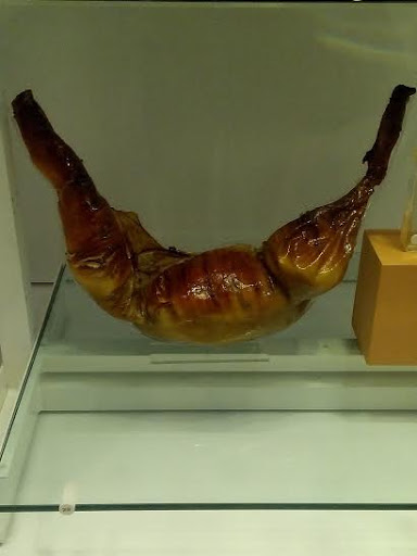 Museum «National Museum of Health and Medicine», reviews and photos, 2500 Linden Ln, Silver Spring, MD 20910, USA