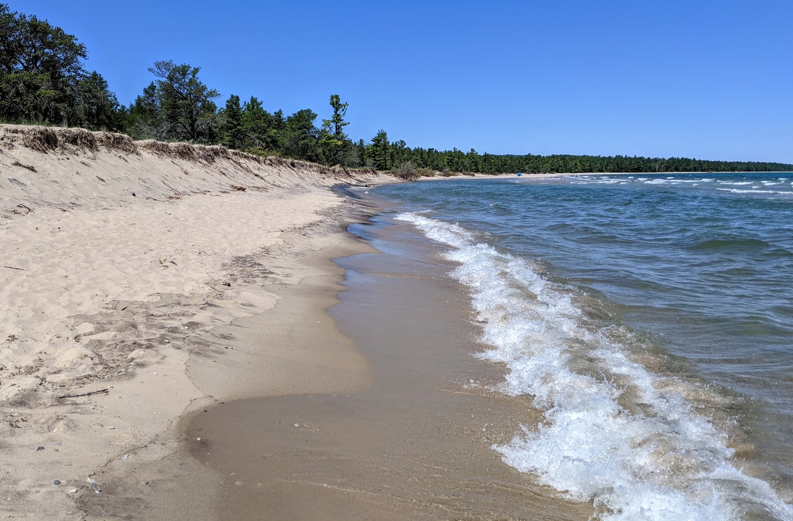 Good Harbor Bay Beach photo #7