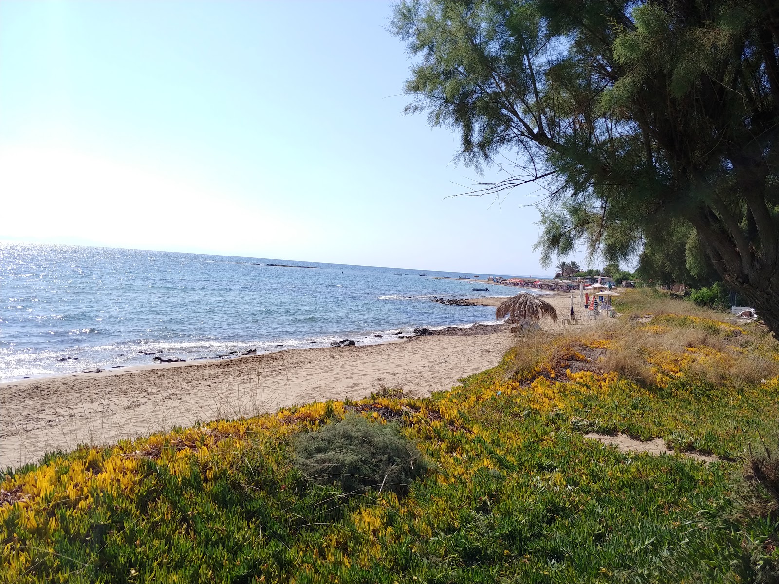 Photo de Pirgi beach avec un niveau de propreté de très propre