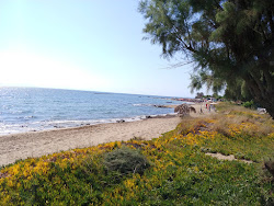 Photo de Pirgi beach avec un niveau de propreté de très propre
