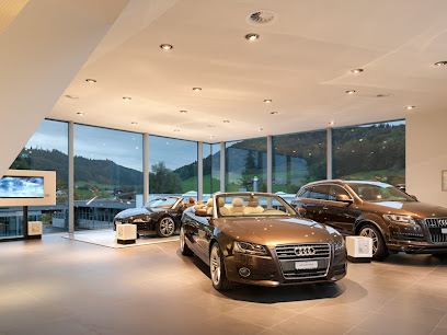 Audi Garage Heinz Stern AG