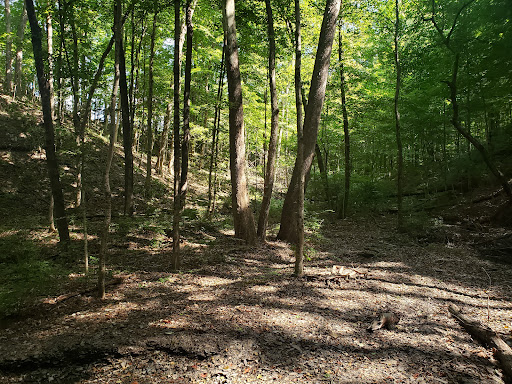 Golf Course «Delaware Golf Club», reviews and photos, 3329 Columbus Pike, Delaware, OH 43015, USA