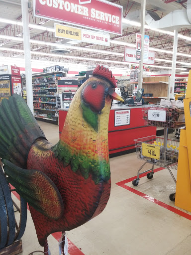 Home Improvement Store «Tractor Supply Co.», reviews and photos, 8610 Shaver Rd, Portage, MI 49024, USA