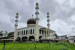 S.I.V. Mosque image