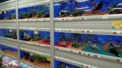 Pet Supply Store «Pet Supermarket», reviews and photos, 11160 Panama City Beach Pkwy #402, Panama City Beach, FL 32407, USA