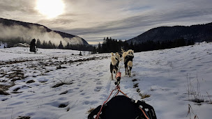 Photo n°5 de QimmiQ Aventure à Mijoux ()