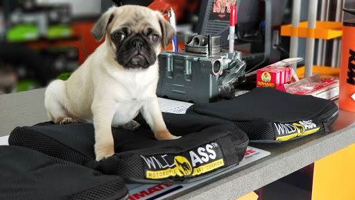 Motorcycle Dealer «Gray Area KTM», reviews and photos, 700 Q St, Springfield, OR 97477, USA