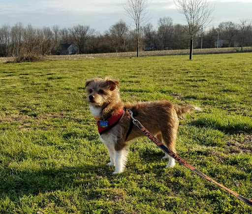 Pet Supply Store «Pet Valu», reviews and photos, 10761 Innovation Drive, Miamisburg, OH 45342, USA