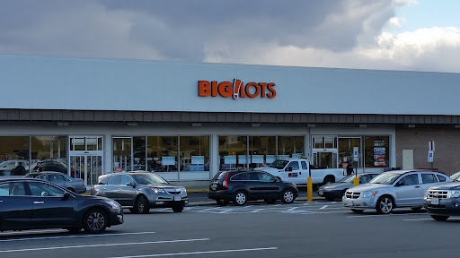 Big Lots, 300 Enterprise St, Sterling, VA 20164, USA, 