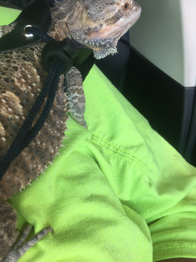 Pet Supply Store «Pet Bazaar», reviews and photos, 490 FL-436, Casselberry, FL 32707, USA