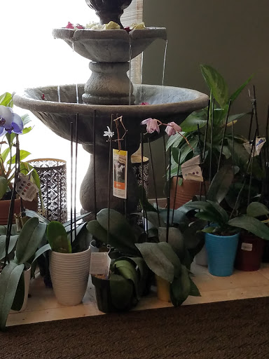 Day Spa «Luxury Thai Spa», reviews and photos, 2555 Montessouri St Suite #B, Las Vegas, NV 89117, USA