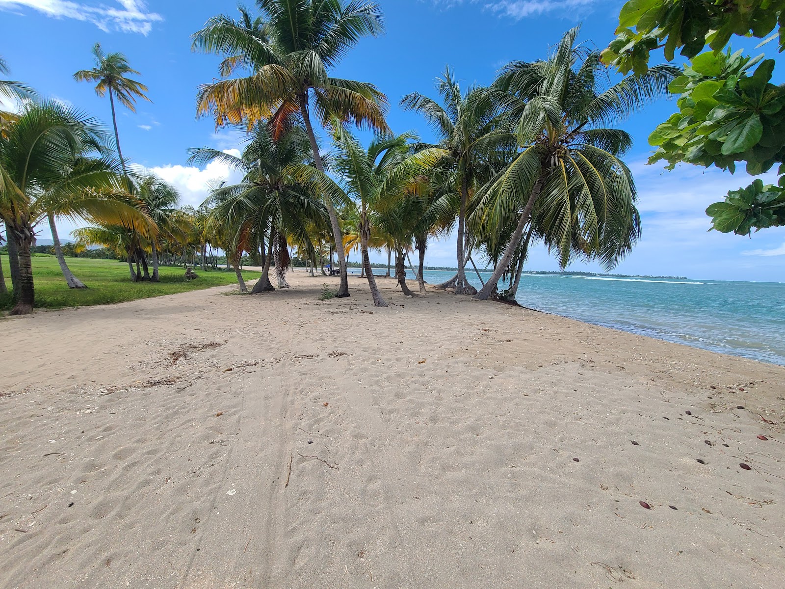 Foto van Playa de Beau met turquoise puur water oppervlakte