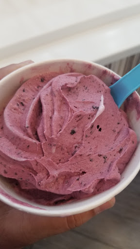 Frozen Yogurt Shop «Yogen Fruz», reviews and photos, 1809 NE 123rd St, North Miami, FL 33181, USA