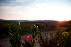The Fynbos Trail image