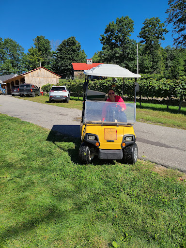 Winery «Gilmanton Winery and Restaurant», reviews and photos, 528 Meadow Pond Rd, Gilmanton, NH 03237, USA