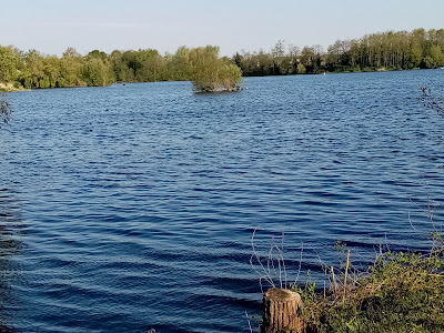 Base Nature et de Loisirs de Chabaud-Latour à Condé-sur-l'Escaut