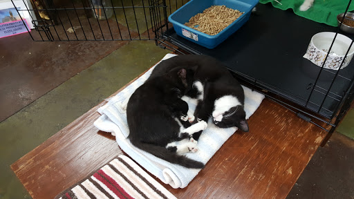 Pet Supply Store «Cat Shoppe & Dog Store», reviews and photos, 2824 Bransford Ave, Nashville, TN 37204, USA