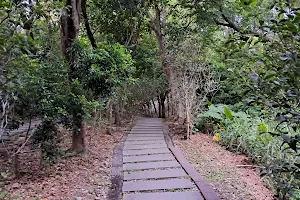 Meilunshan Forest Park image