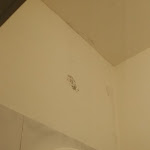 Photo n°4 de l'avis de Piero.o fait le 01/08/2019 à 10:33 sur le  Riviera Mare Beach Life Hotel à Rimini