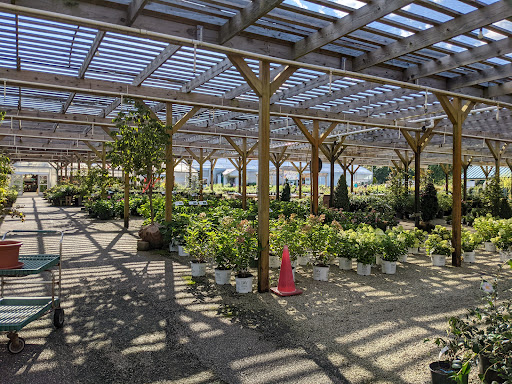Garden Center «Homestead Gardens», reviews and photos, 743 Central Ave, Davidsonville, MD 21035, USA