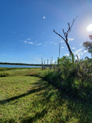 Park «Lake Rogers Park», reviews and photos, 9010 N Mobley Rd, Odessa, FL 33556, USA