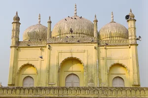 Yellow Mosque image