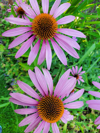 Park «Heritage Park», reviews and photos, 111 Waverly Way, Kirkland, WA 98033, USA