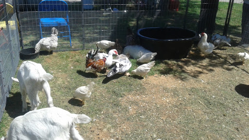 National Park «Waco Mammoth National Monument», reviews and photos, 6220 Steinbeck Bend Dr, Waco, TX 76708, USA