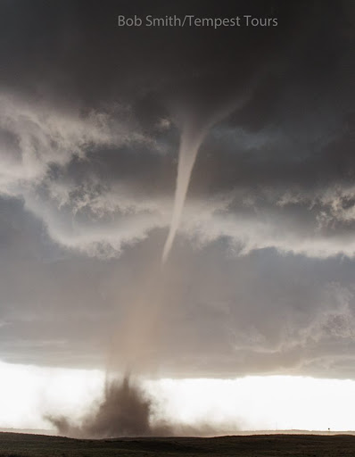 Tourist Attraction «Tempest Tours, Inc.», reviews and photos, 690 E Lamar Blvd, Arlington, TX 76011, USA