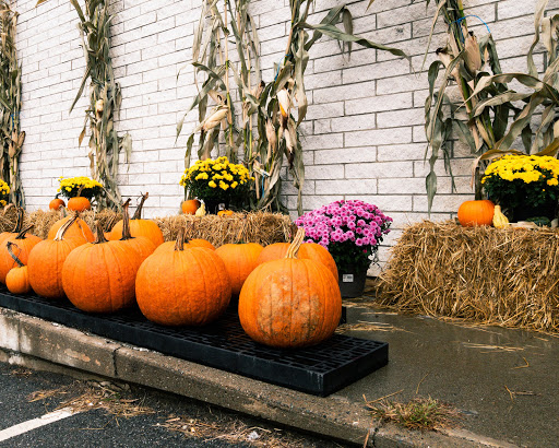 Pet Supply Store «Blue Seal Feeds Inc», reviews and photos, 876 Stillwater Ave # 1, Bangor, ME 04401, USA