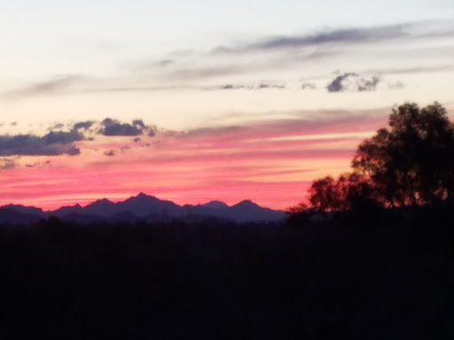 Tourist Attraction «Linda Vista Trail», reviews and photos, 730 E Linda Vista Rd, Oro Valley, AZ 85737, USA