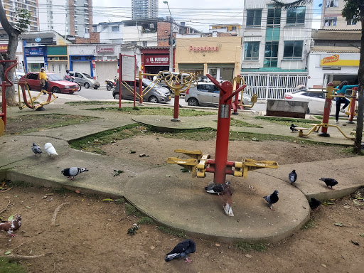 Gimnasio al aire libre La Concordia