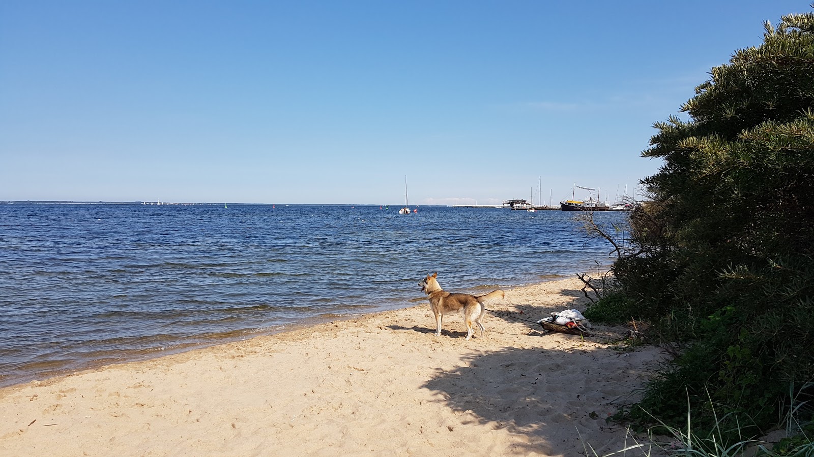 Foto von Kaprow Beach mit geräumige küstenlinie