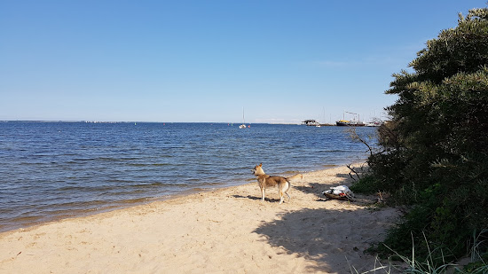 Kaprow Beach