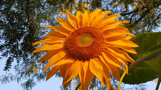 Home Improvement Store «HOBO- Home Owners Bargain Outlet», reviews and photos, 2650 Belvidere Rd, Waukegan, IL 60085, USA