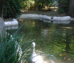 Aviario Moctezuma photo