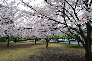 Masuojoshi Total Park image