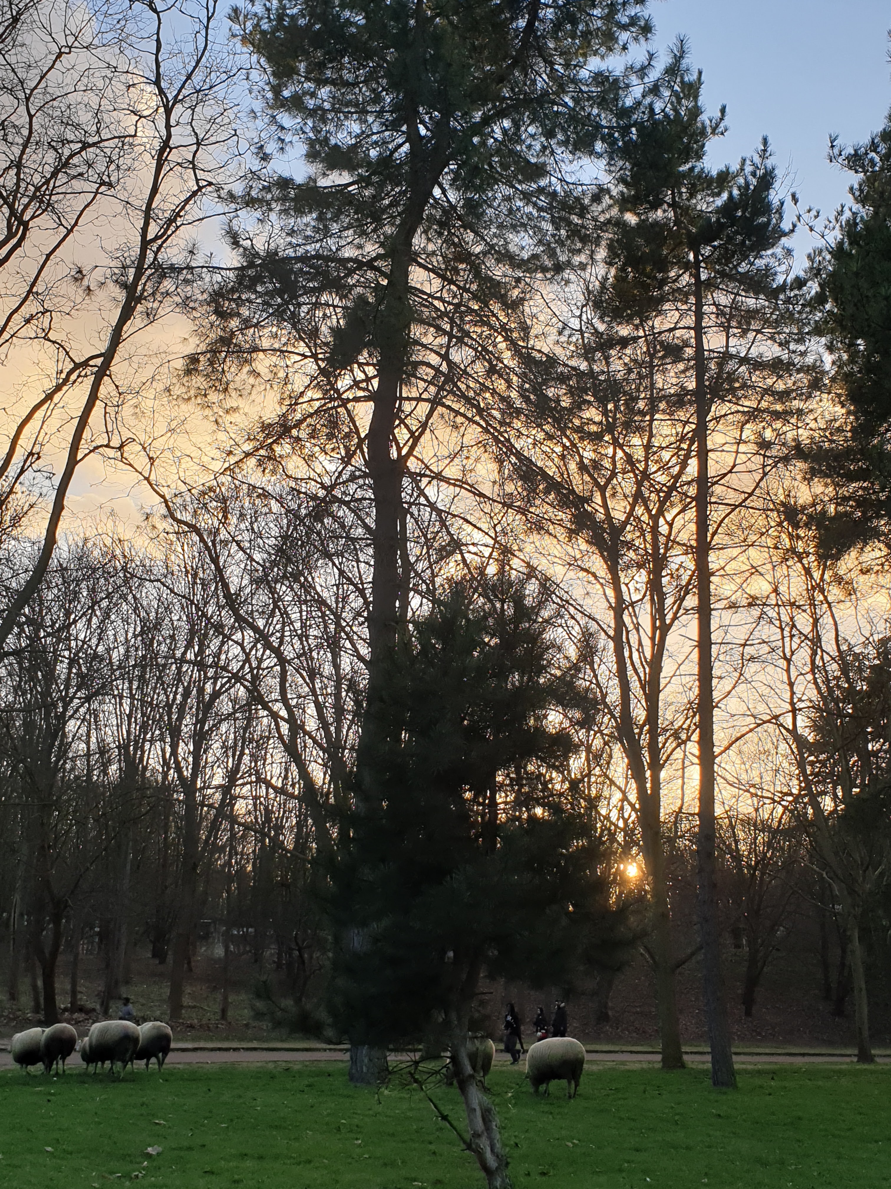 Photo n° 32 de l'avis de Maria.o fait le 01/01/2018 à 17:41