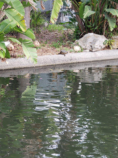 Tourist Attraction «IMAG History & Science Center (formerly Imaginarium Science Center)», reviews and photos, 2000 Cranford Ave, Fort Myers, FL 33916, USA