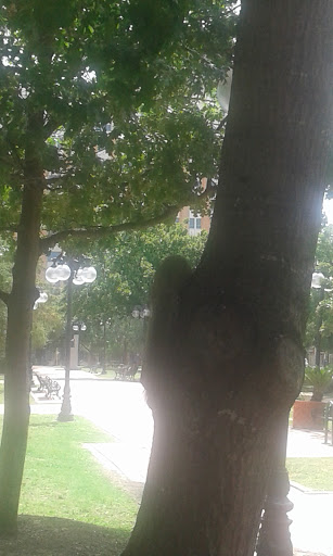 Park «Milam Park», reviews and photos, 500 W Commerce St, San Antonio, TX 78207, USA