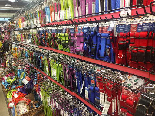 Pet Supply Store «Premier Pet Supply», reviews and photos, 31215 Southfield Rd, Beverly Hills, MI 48025, USA