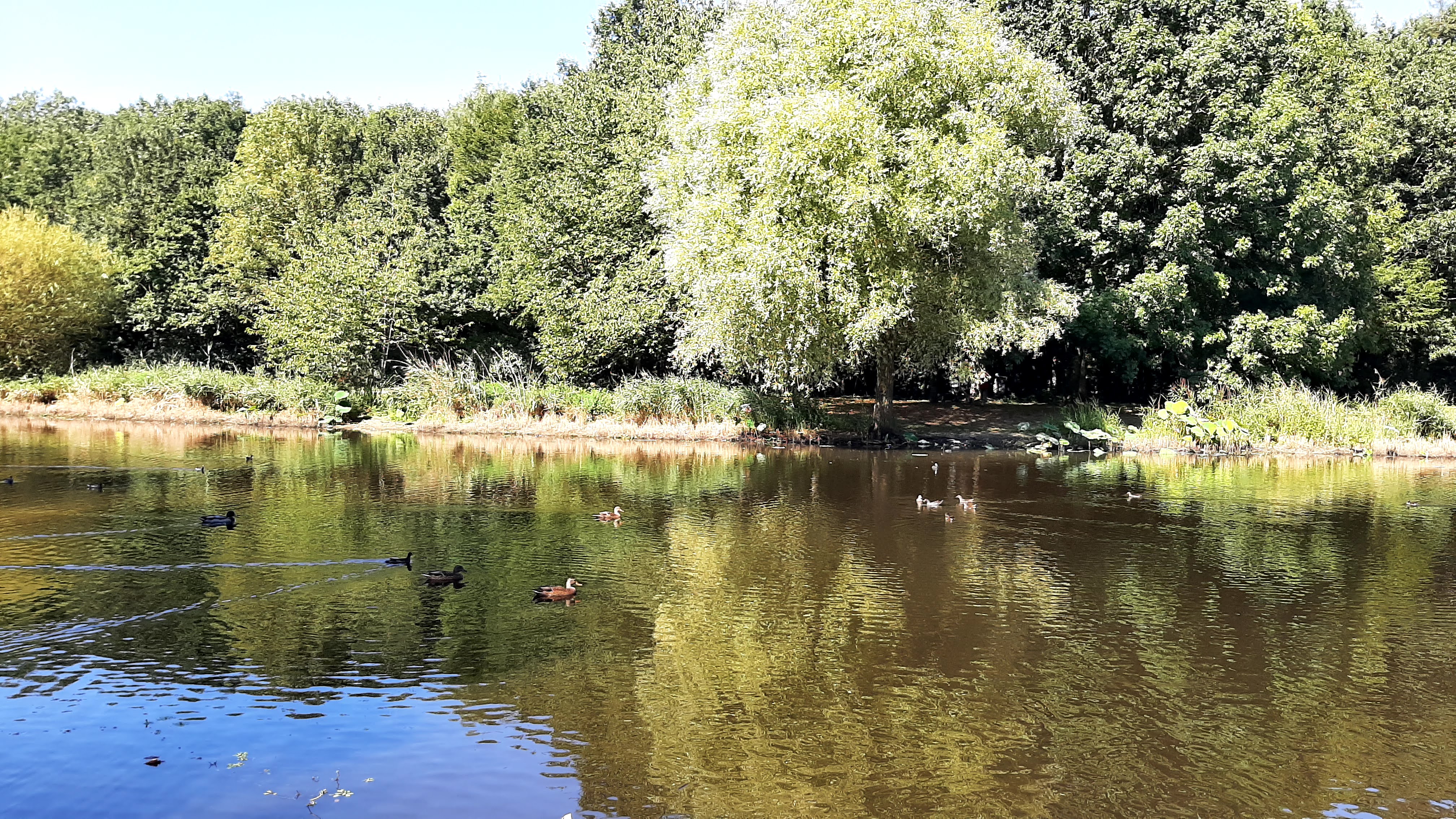 Photo n° 14 de l'avis de balouin.r fait le 30/09/2021 à 07:27