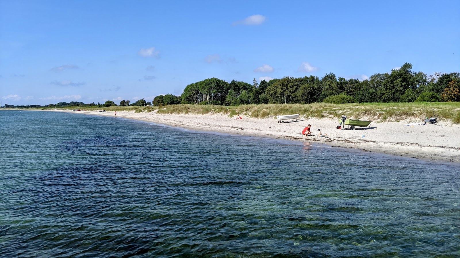 Photo de Skovmose strand situé dans une zone naturelle