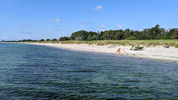 Photo de Skovmose strand situé dans une zone naturelle