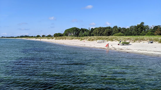 Skovmose strand