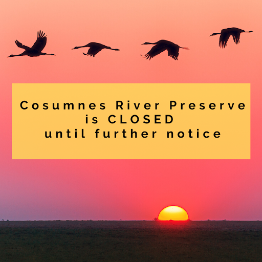 Nature Preserve «Cosumnes River Preserve», reviews and photos, 13501 Franklin Blvd, Galt, CA 95632, USA