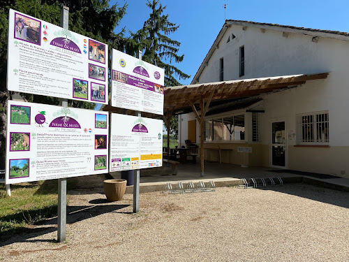 Ferme et Musée du Pruneau - Au bord du Lot à Lafitte-sur-Lot