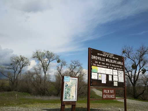 Nature Preserve «Oroville Wildlife Area», reviews and photos, 945 Oro Dam Blvd W, Oroville, CA 95965, USA