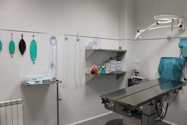 Veterinary Clinic MadridRio