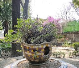 SANTA URSULA Park photo